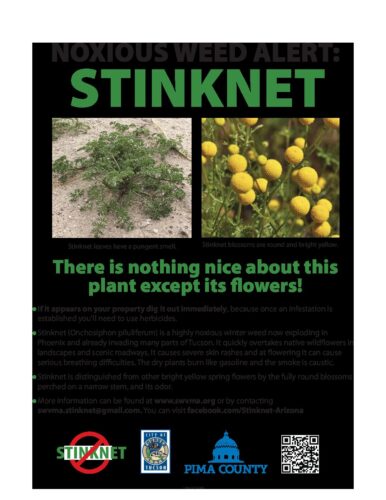 Stinknet-poster-Pima-County1 : The Arizona Native Plant Society