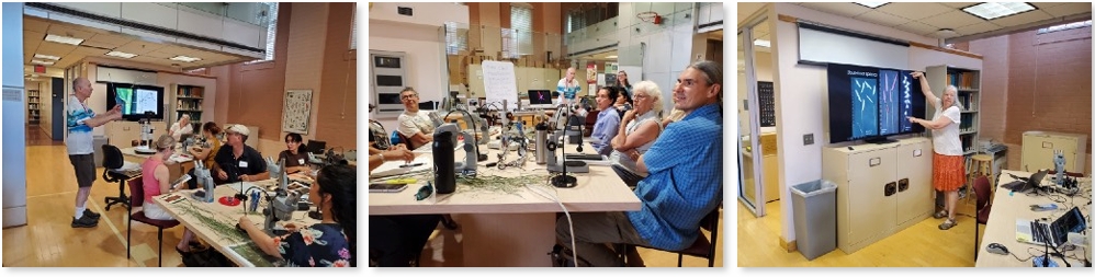 Grass Identification Class at University of AZ Herbarium : The Arizona ...